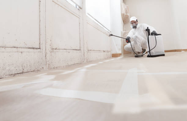 24/7 Emergency Basement Mold Remediation experts in Norristown, PA