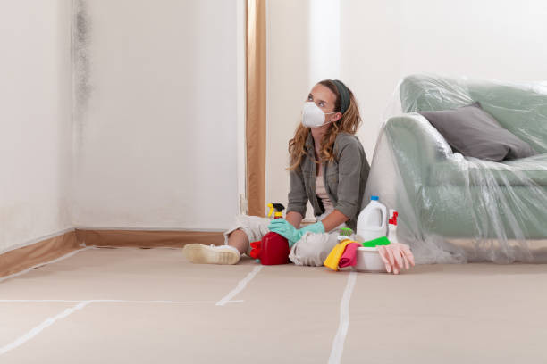 Reliable Basement Mold Remediation contractor in Norristown, PA by WQB Mold Removal